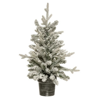 Sapin en pot 70 cm...