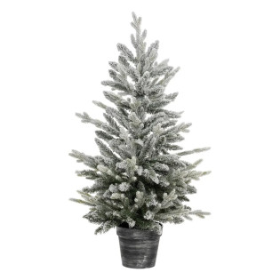 Sapin en pot 100 cm...